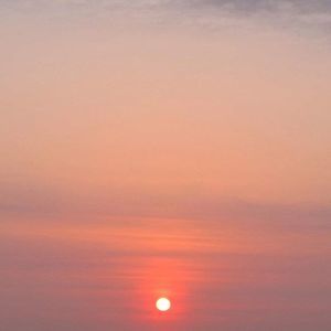 Meet your Posher, Jan